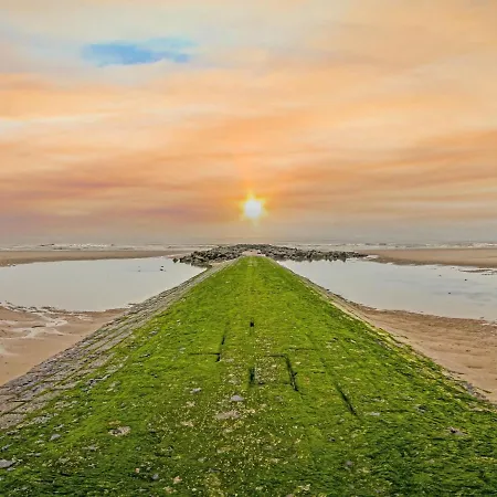 Appealing With Terrace